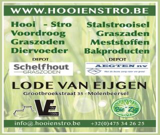 2025-VAN-EIJGEN-LODE